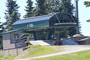 20 - Grouse Mountain - IMG_1534